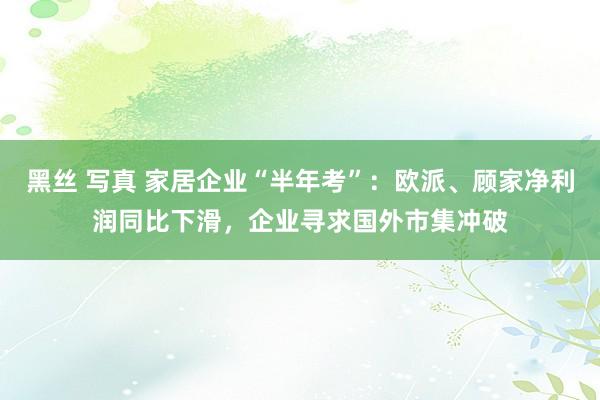 黑丝 写真 家居企业“半年考”：欧派、顾家净利润同比下滑，企业寻求国外市集冲破