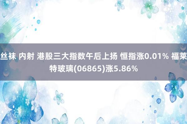 丝袜 内射 港股三大指数午后上扬 恒指涨0.01% 福莱特玻璃(06865)涨5.86%