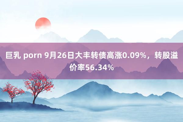 巨乳 porn 9月26日大丰转债高涨0.09%，转股溢价率56.34%