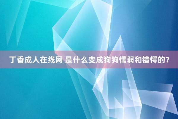 丁香成人在线网 是什么变成狗狗懦弱和错愕的？