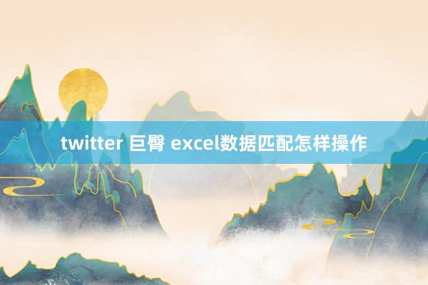 twitter 巨臀 excel数据匹配怎样操作