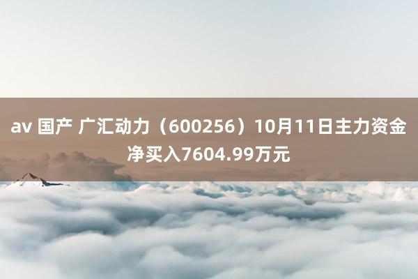 av 国产 广汇动力（600256）10月11日主力资金净买入7604.99万元