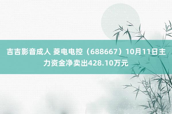 吉吉影音成人 菱电电控（688667）10月11日主力资金净卖出428.10万元