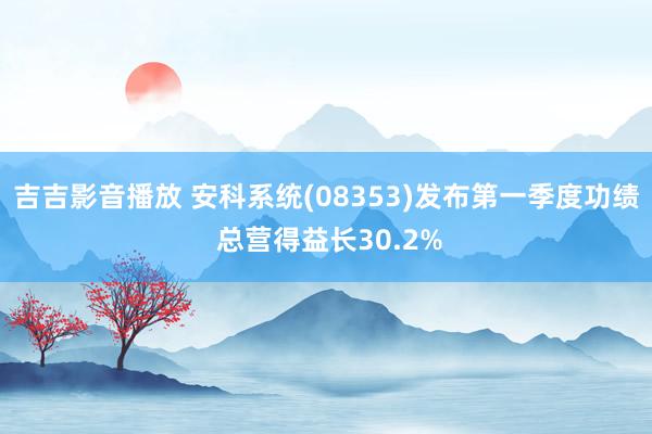 吉吉影音播放 安科系统(08353)发布第一季度功绩 总营得益长30.2%