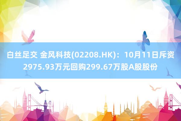 白丝足交 金风科技(02208.HK)：10月11日斥资2975.93万元回购299.67万股A股股份