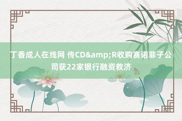 丁香成人在线网 传CD&R收购赛诺菲子公司获22家银行融资救济