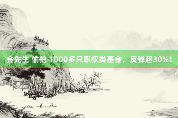 金先生 偷拍 1000多只职权类基金，反弹超30%！