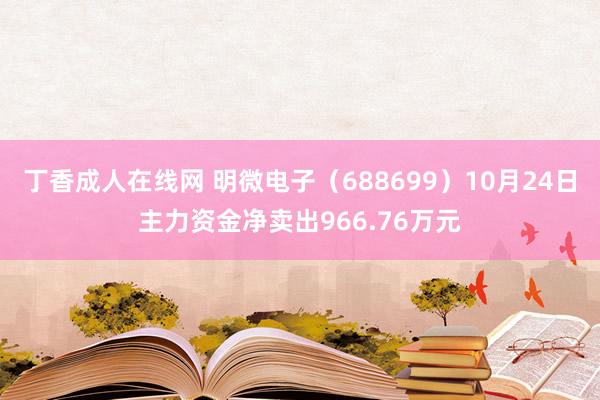 丁香成人在线网 明微电子（688699）10月24日主力资金净卖出966.76万元