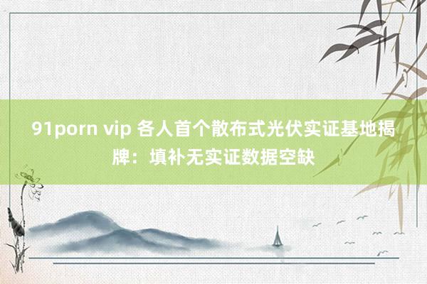 91porn vip 各人首个散布式光伏实证基地揭牌：填补无实证数据空缺