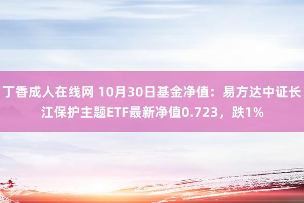 丁香成人在线网 10月30日基金净值：易方达中证长江保护主题ETF最新净值0.723，跌1%