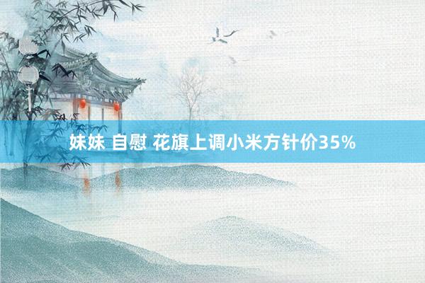 妹妹 自慰 花旗上调小米方针价35%