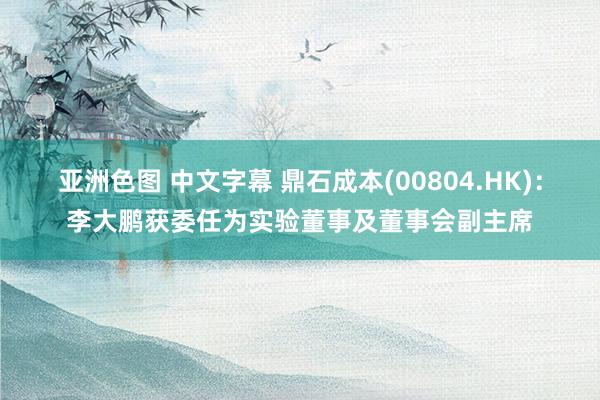 亚洲色图 中文字幕 鼎石成本(00804.HK)：李大鹏获委任为实验董事及董事会副主席