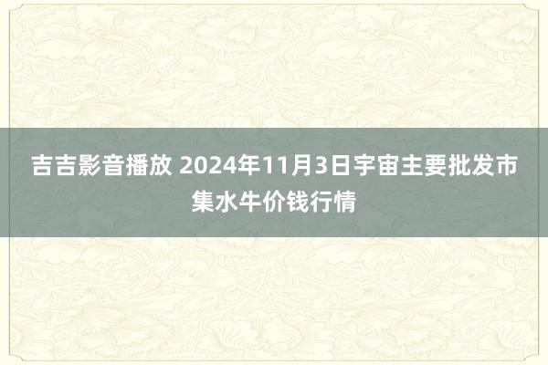 吉吉影音播放 2024年11月3日宇宙主要批发市集水牛价钱行情