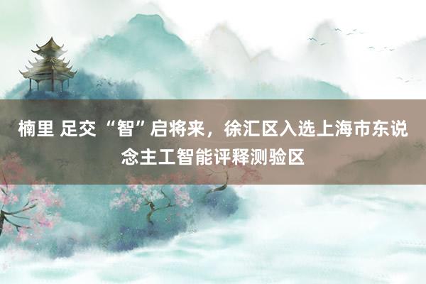 楠里 足交 “智”启将来，徐汇区入选上海市东说念主工智能评释测验区