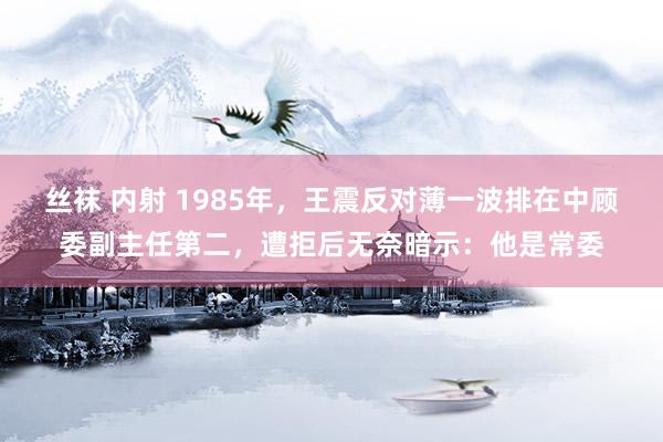 丝袜 内射 1985年，王震反对薄一波排在中顾委副主任第二，遭拒后无奈暗示：他是常委