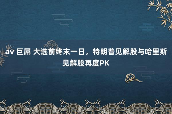 av 巨屌 大选前终末一日，特朗普见解股与哈里斯见解股再度PK