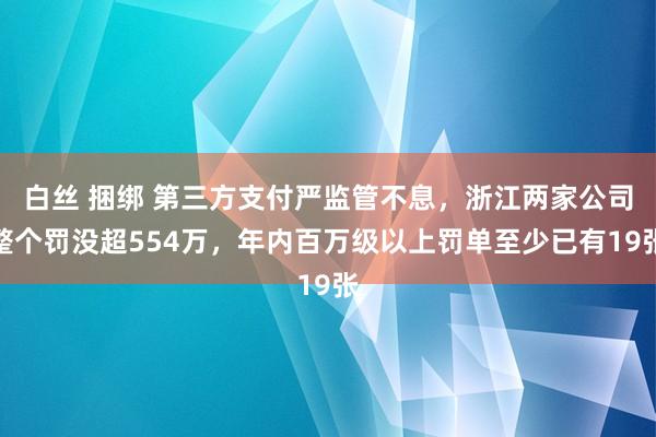 白丝 捆绑 第三方支付严监管不息，浙江两家公司整个罚没超554万，年内百万级以上罚单至少已有19张