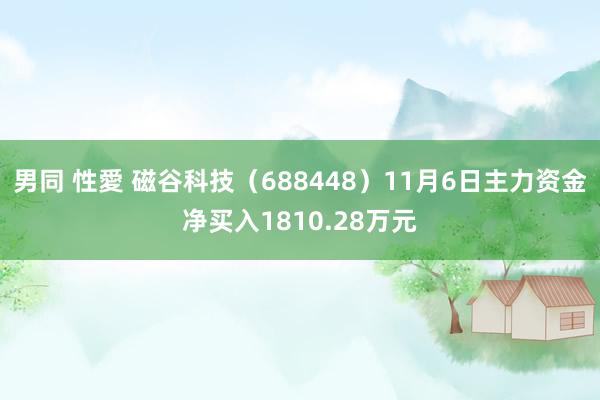 男同 性愛 磁谷科技（688448）11月6日主力资金净买入1810.28万元