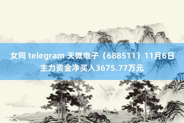 女同 telegram 天微电子（688511）11月6日主力资金净买入3675.77万元