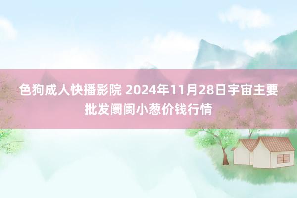 色狗成人快播影院 2024年11月28日宇宙主要批发阛阓小葱价钱行情