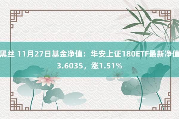 黑丝 11月27日基金净值：华安上证180ETF最新净值3.6035，涨1.51%