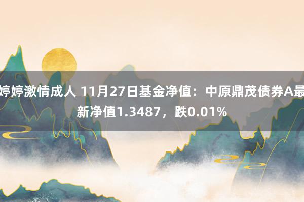 婷婷激情成人 11月27日基金净值：中原鼎茂债券A最新净值1.3487，跌0.01%