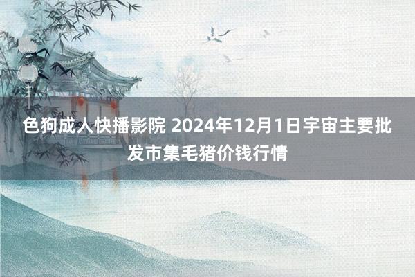 色狗成人快播影院 2024年12月1日宇宙主要批发市集毛猪价钱行情