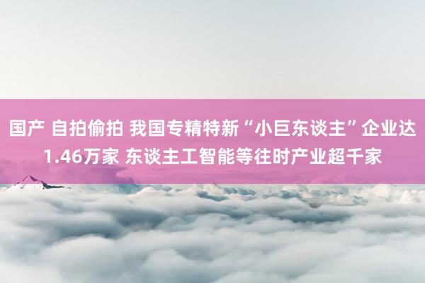 国产 自拍偷拍 我国专精特新“小巨东谈主”企业达1.46万家 东谈主工智能等往时产业超千家