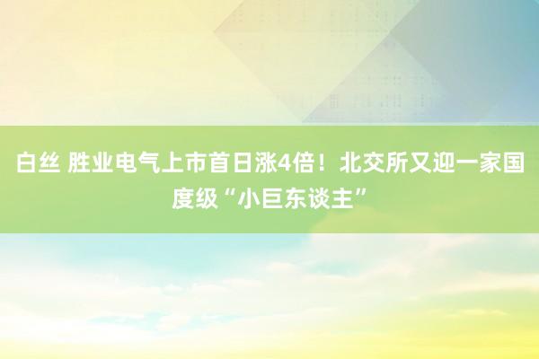 白丝 胜业电气上市首日涨4倍！北交所又迎一家国度级“小巨东谈主”