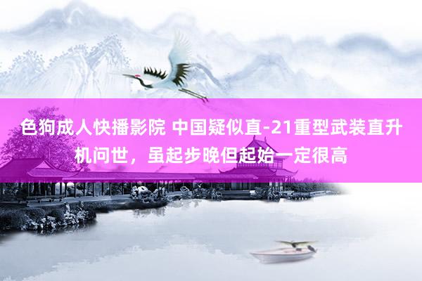 色狗成人快播影院 中国疑似直-21重型武装直升机问世，虽起步晚但起始一定很高