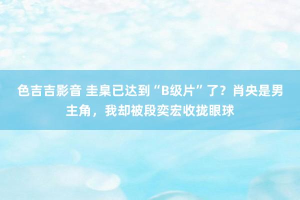 色吉吉影音 圭臬已达到“B级片”了？肖央是男主角，我却被段奕宏收拢眼球