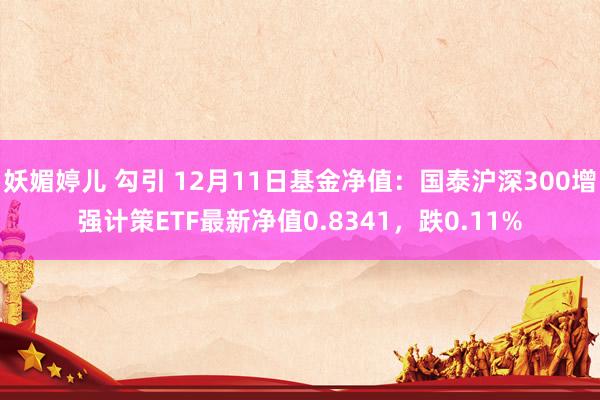 妖媚婷儿 勾引 12月11日基金净值：国泰沪深300增强计策ETF最新净值0.8341，跌0.11%