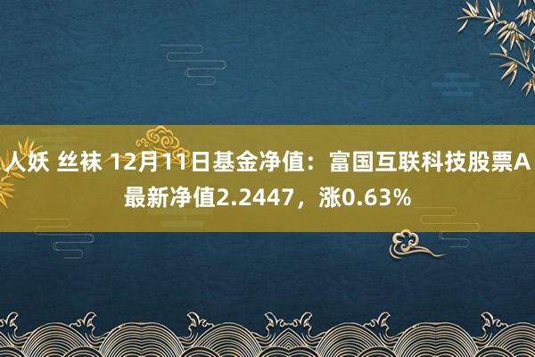 人妖 丝袜 12月11日基金净值：富国互联科技股票A最新净值2.2447，涨0.63%