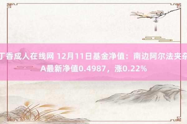 丁香成人在线网 12月11日基金净值：南边阿尔法夹杂A最新净值0.4987，涨0.22%