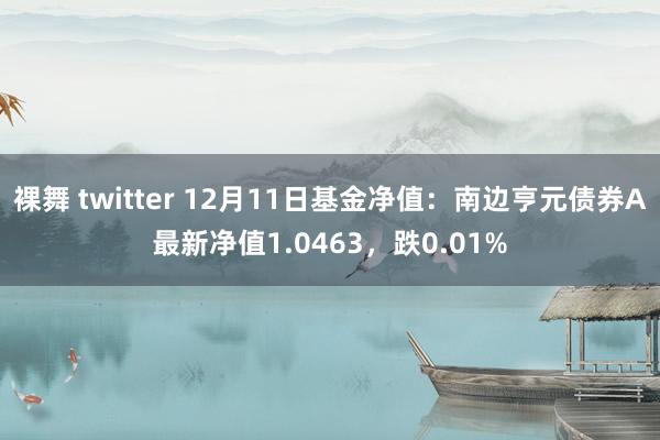 裸舞 twitter 12月11日基金净值：南边亨元债券A最新净值1.0463，跌0.01%