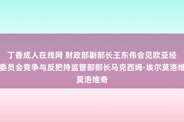 丁香成人在线网 财政部副部长王东伟会见欧亚经济委员会竞争与反把持监管部部长马克西姆·埃尔莫洛维奇