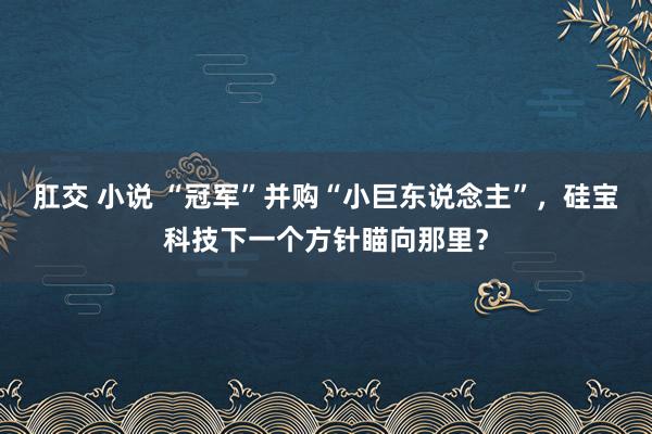 肛交 小说 “冠军”并购“小巨东说念主”，硅宝科技下一个方针瞄向那里？