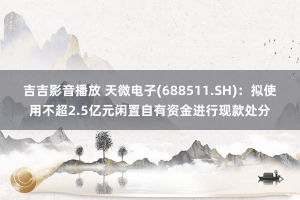 吉吉影音播放 天微电子(688511.SH)：拟使用不超2.5亿元闲置自有资金进行现款处分