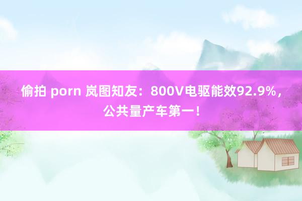 偷拍 porn 岚图知友：800V电驱能效92.9%，公共量产车第一！