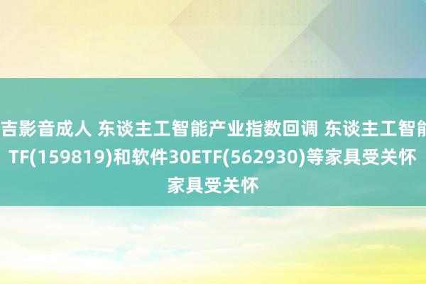 吉吉影音成人 东谈主工智能产业指数回调 东谈主工智能ETF(159819)和软件30ETF(562930)等家具受关怀