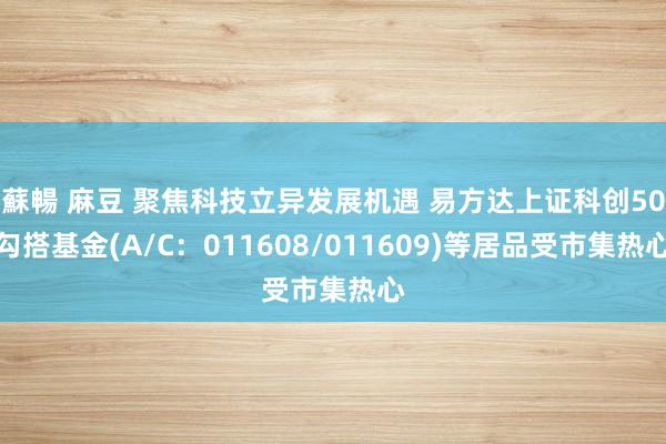 蘇暢 麻豆 聚焦科技立异发展机遇 易方达上证科创50勾搭基金(A/C：011608/011609)等居品受市集热心