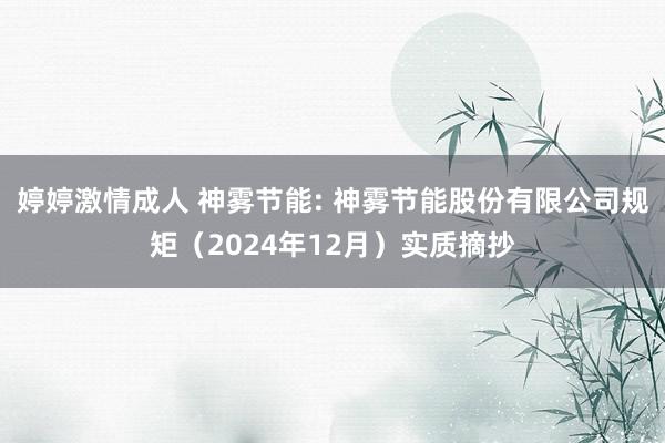 婷婷激情成人 神雾节能: 神雾节能股份有限公司规矩（2024年12月）实质摘抄