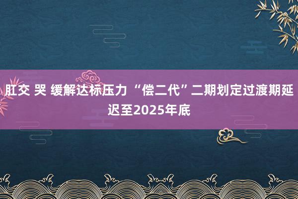 肛交 哭 缓解达标压力 “偿二代”二期划定过渡期延迟至2025年底