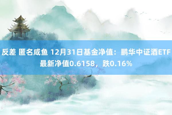 反差 匿名咸鱼 12月31日基金净值：鹏华中证酒ETF最新净值0.6158，跌0.16%