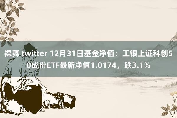 裸舞 twitter 12月31日基金净值：工银上证科创50成份ETF最新净值1.0174，跌3.1%