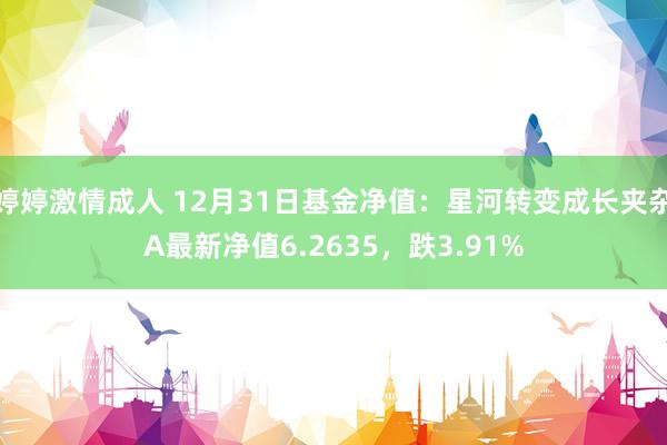 婷婷激情成人 12月31日基金净值：星河转变成长夹杂A最新净值6.2635，跌3.91%