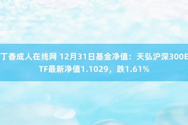 丁香成人在线网 12月31日基金净值：天弘沪深300ETF最新净值1.1029，跌1.61%