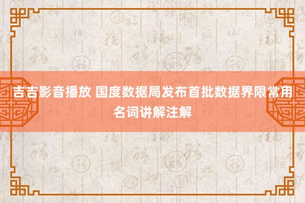 吉吉影音播放 国度数据局发布首批数据界限常用名词讲解注解