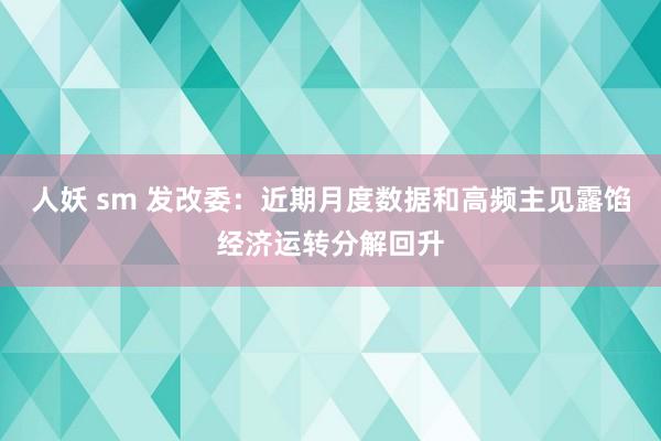 人妖 sm 发改委：近期月度数据和高频主见露馅经济运转分解回升