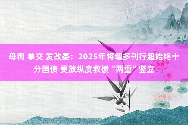 母狗 拳交 发改委：2025年将增多刊行超始终十分国债 更放纵度救援“两重”竖立